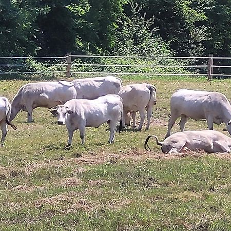 Agriturismo La Fornace Centro Ippico Como Luaran gambar