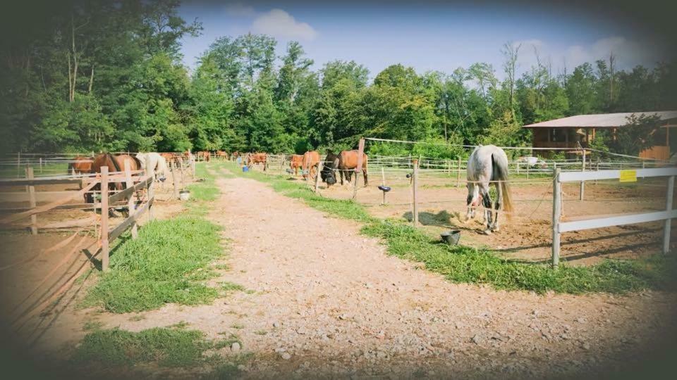 Agriturismo La Fornace Centro Ippico Como Luaran gambar