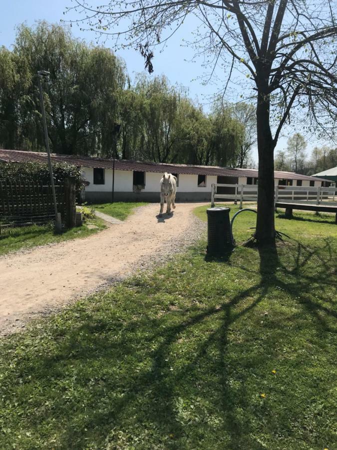 Agriturismo La Fornace Centro Ippico Villa Como Luaran gambar